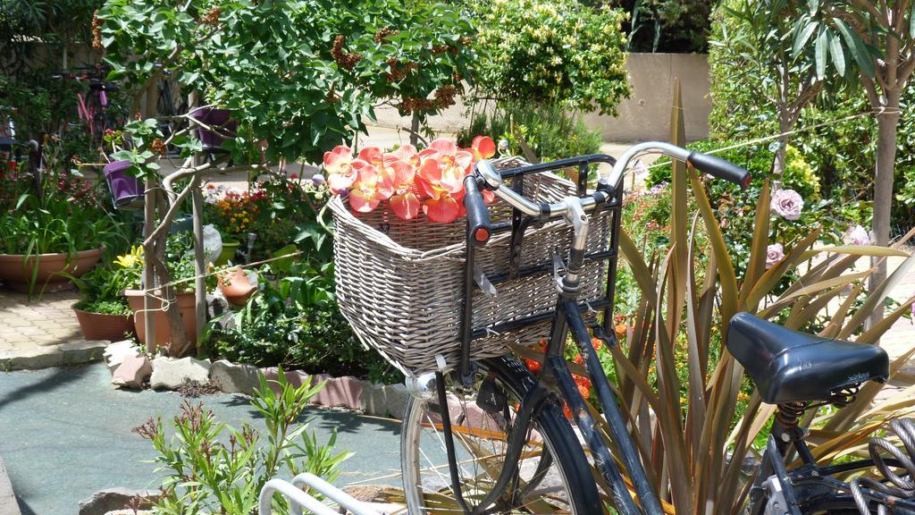 Cap D'Agde Studio - Village Naturiste Екстериор снимка